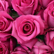 Load image into Gallery viewer, Cotton Candy Pink Roses Wholesale - 48LongStems.com
