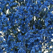 Load image into Gallery viewer, Dark Blue Tinted Limonium - 48LongStems.com
