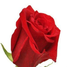 Load image into Gallery viewer, Devotion Red Roses Wholesale - 48LongStems.com
