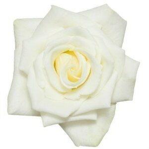 Escimo White Roses Wholesale - 48LongStems.com