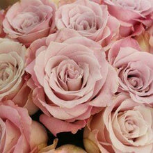 Load image into Gallery viewer, Faith Pink Roses Wholesale - 48LongStems.com
