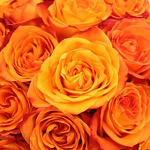 Load image into Gallery viewer, Fiction Bi-Color Yellow Roses Wholesale - 48LongStems.com
