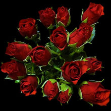 Load image into Gallery viewer, Fire King Red Spray Rose - 40cm - 48LongStems.com
