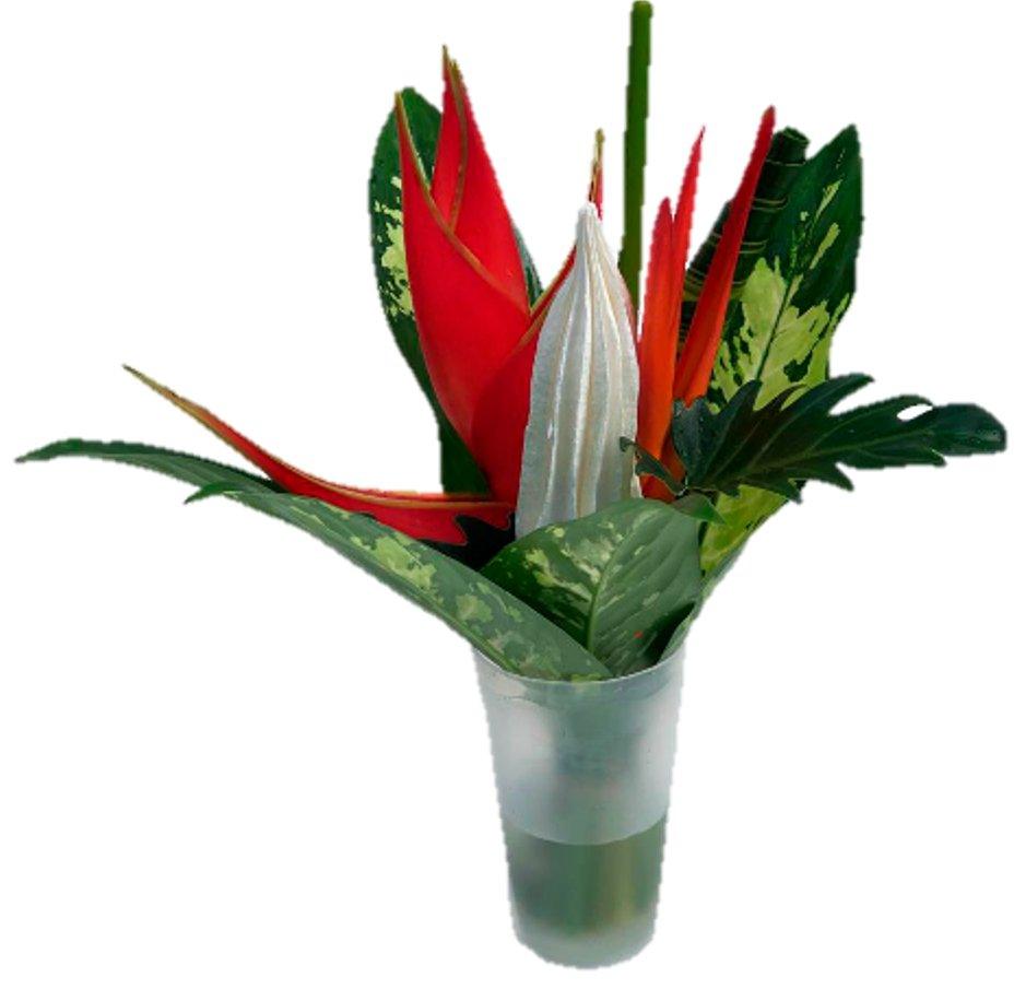 Fun Size Kapawi Tropical Centerpieces - 48LongStems.com
