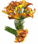 Load image into Gallery viewer, Giant Mango Calla Lilies - Wholesale - 48LongStems.com
