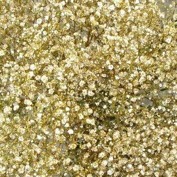 Gold Tinted Baby's Breath Xlence - Gypsophila - 48LongStems.com