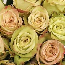 Load image into Gallery viewer, Green Fashion Green Roses Wholesale - 48LongStems.com
