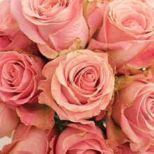 Load image into Gallery viewer, Hermosa Pink Roses - 48LongStems.com
