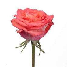 Load image into Gallery viewer, High and Orange Coral Roses - 48LongStems.com
