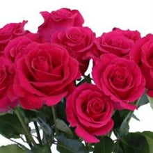 Load image into Gallery viewer, Hot Lady Pink Roses Wholesale - 48LongStems.com
