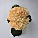 Hydrangea - Tinted (Premium) - 48LongStems.com