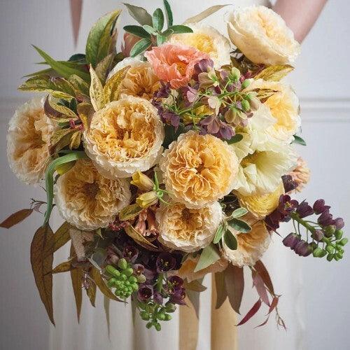 Beatrice David Austin Yellow Cream Garden Roses Wholesale - 48LongStems.com