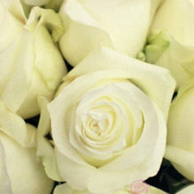 Load image into Gallery viewer, Proud White Roses
