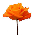 125 Orange Promotional Roses