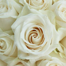 Load image into Gallery viewer, Vendela White/Cream Rose
