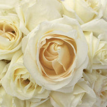 Load image into Gallery viewer, White Chocolate White Rose

