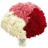 Valentine's Day Carnations