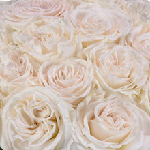 Load image into Gallery viewer, Playa Blanca White Rose
