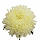White Football Mum