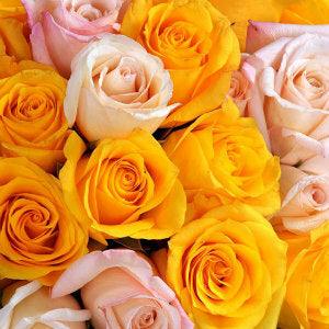 Standard Assorted Roses