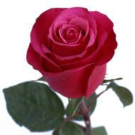 Load image into Gallery viewer, Cherry O! Dark Pink Rose
