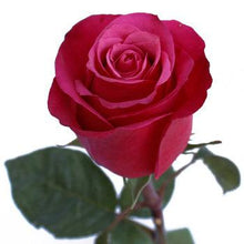 Load image into Gallery viewer, Cheery O! Dark Pink Rose
