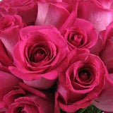 Topaz Dark Pink Rose