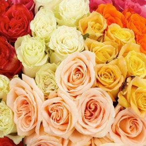 Standard Assorted Roses