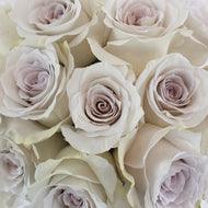 Load image into Gallery viewer, Early Grey Lavender Rose
