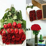 Wholesale Roses Shipped