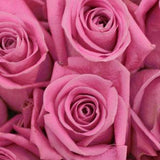 Soul Mate Lavender Rose