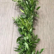 Load image into Gallery viewer, Italian Ruscus Garland - 48LongStems.com

