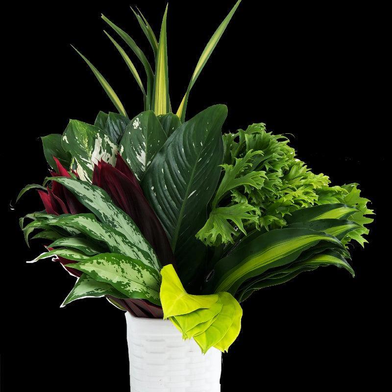 Jungle Assorted Tropical Greenery - Wholesale - 48LongStems.com