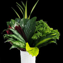 Load image into Gallery viewer, Jungle Assorted Tropical Greenery - Wholesale - 48LongStems.com
