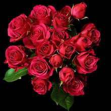 Load image into Gallery viewer, Lovely Lydia Hot Pink Spray Roses - 40cm - 48LongStems.com
