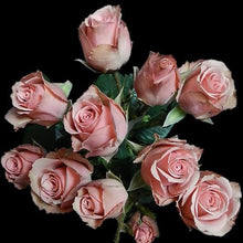 Load image into Gallery viewer, Lydia Light Pink Spray Rose - 40cm - 48LongStems.com
