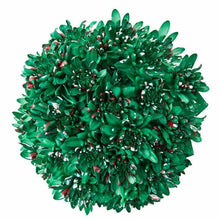 Load image into Gallery viewer, Marshmallow Cupcake Dark Green Mum Bouquets - 48LongStems.com
