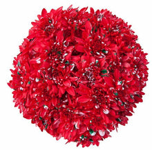 Load image into Gallery viewer, Marshmallow Cupcake Red Mum Bouquets - 48LongStems.com
