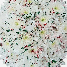Load image into Gallery viewer, Marshmallow Cupcake White Mum Bouquets - 48LongStems.com
