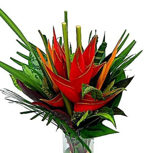Medium Amazon Tropical Centerpieces - 48LongStems.com