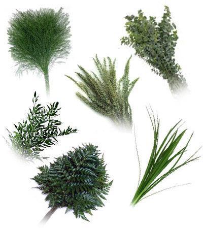 Mixed Filler Combo Box - 48LongStems.com