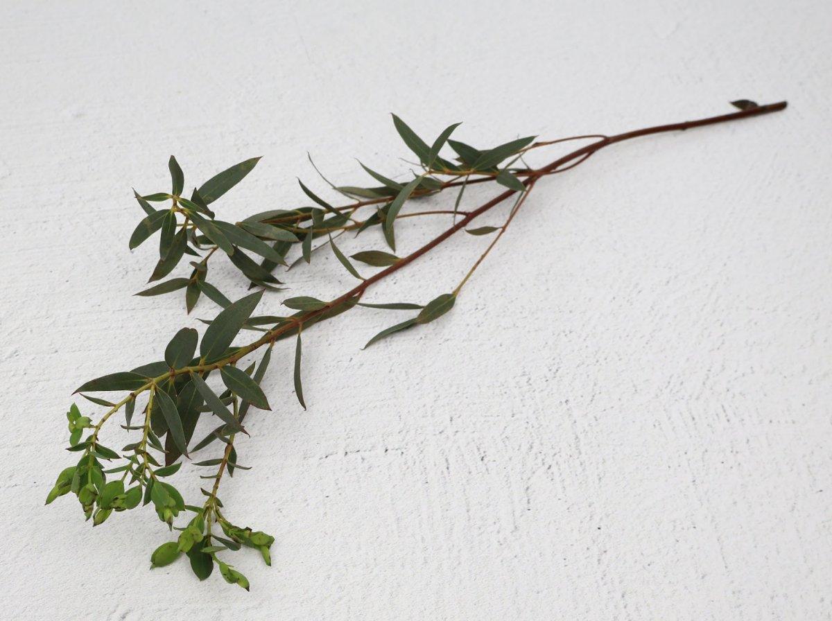 Nagi, 15 bunches - 48LongStems.com