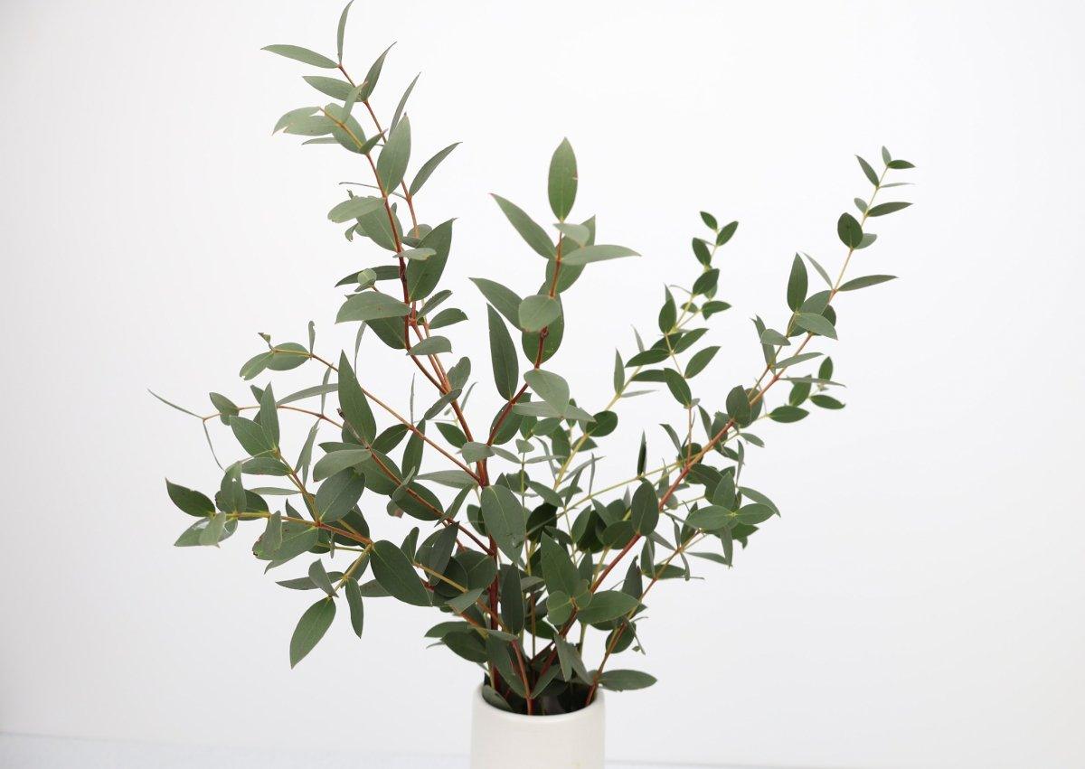 Nagi, 15 bunches - 48LongStems.com