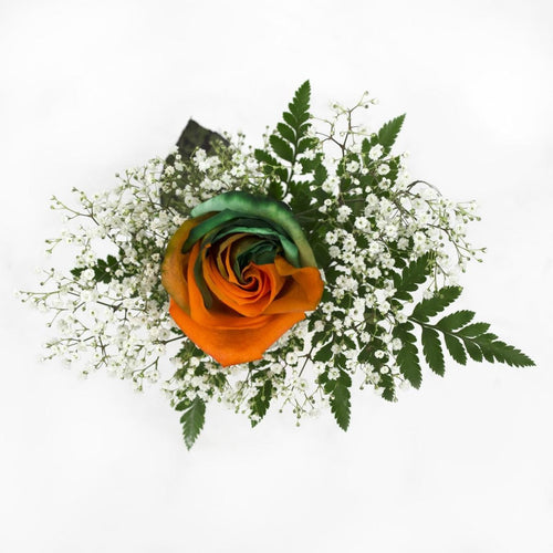 Orange and Green Dyed Rose Bouquet 1-Stem - 48LongStems.com