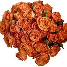 Load image into Gallery viewer, Orange Babe Orange Spray Rose - 40cm - 48LongStems.com

