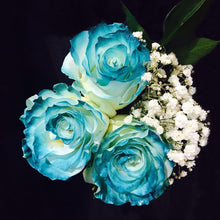 Load image into Gallery viewer, Painted Rose Bouquets (Your Color Choice) 3-Stem - 48LongStems.com

