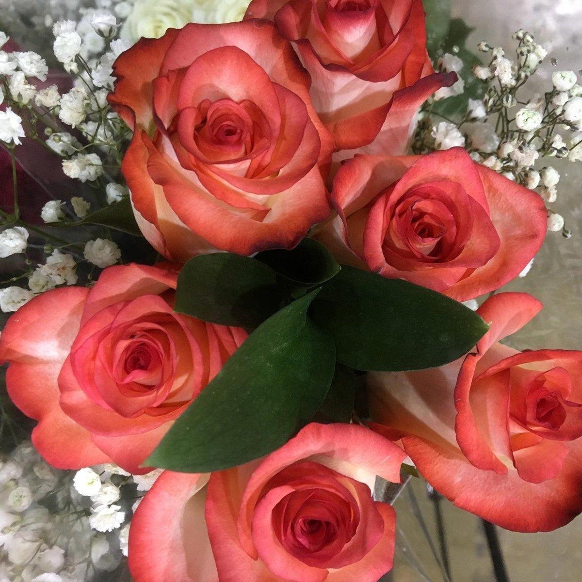 Painted Rose Bouquets (Your Color Choice) 6-Stem – 48LongStems.com