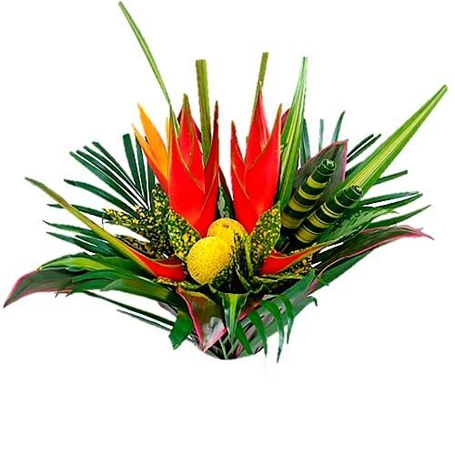 Parrot Medium Tropical Bouquet - 48LongStems.com