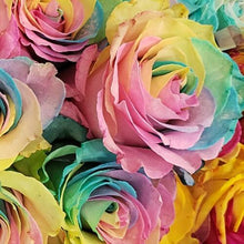 Load image into Gallery viewer, Pastel Rainbow Rose Bouquet 12-Stem - 48LongStems.com
