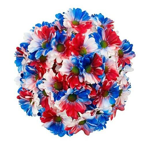 Patriotic Red, White and Blue Rainbow Daisies - 48LongStems.com
